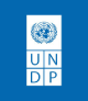 Our Partners - UNDP